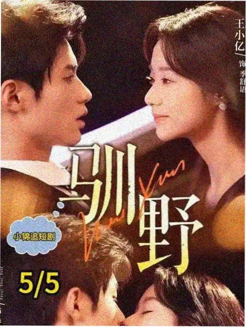 好想做一次第三季在线观看剧集海报